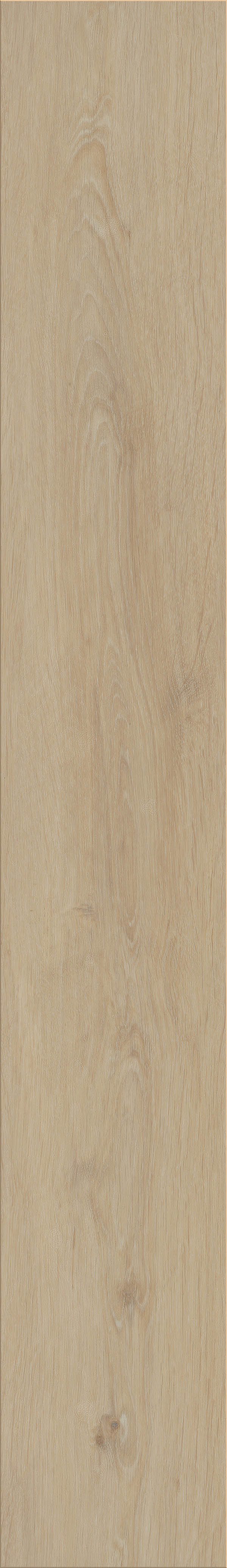 Silk Oak – Latte