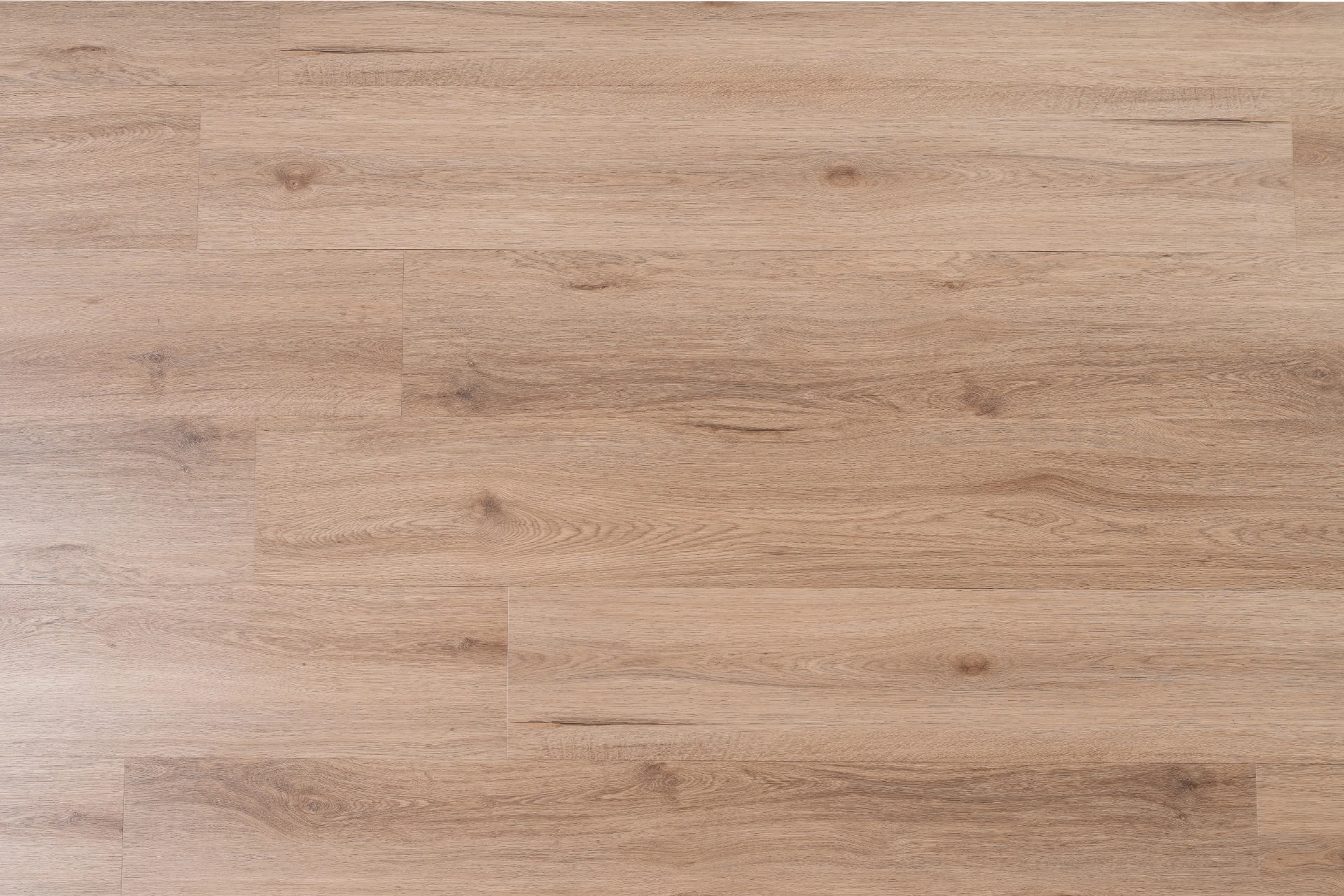 Opal XXL Plank — Alkmaar